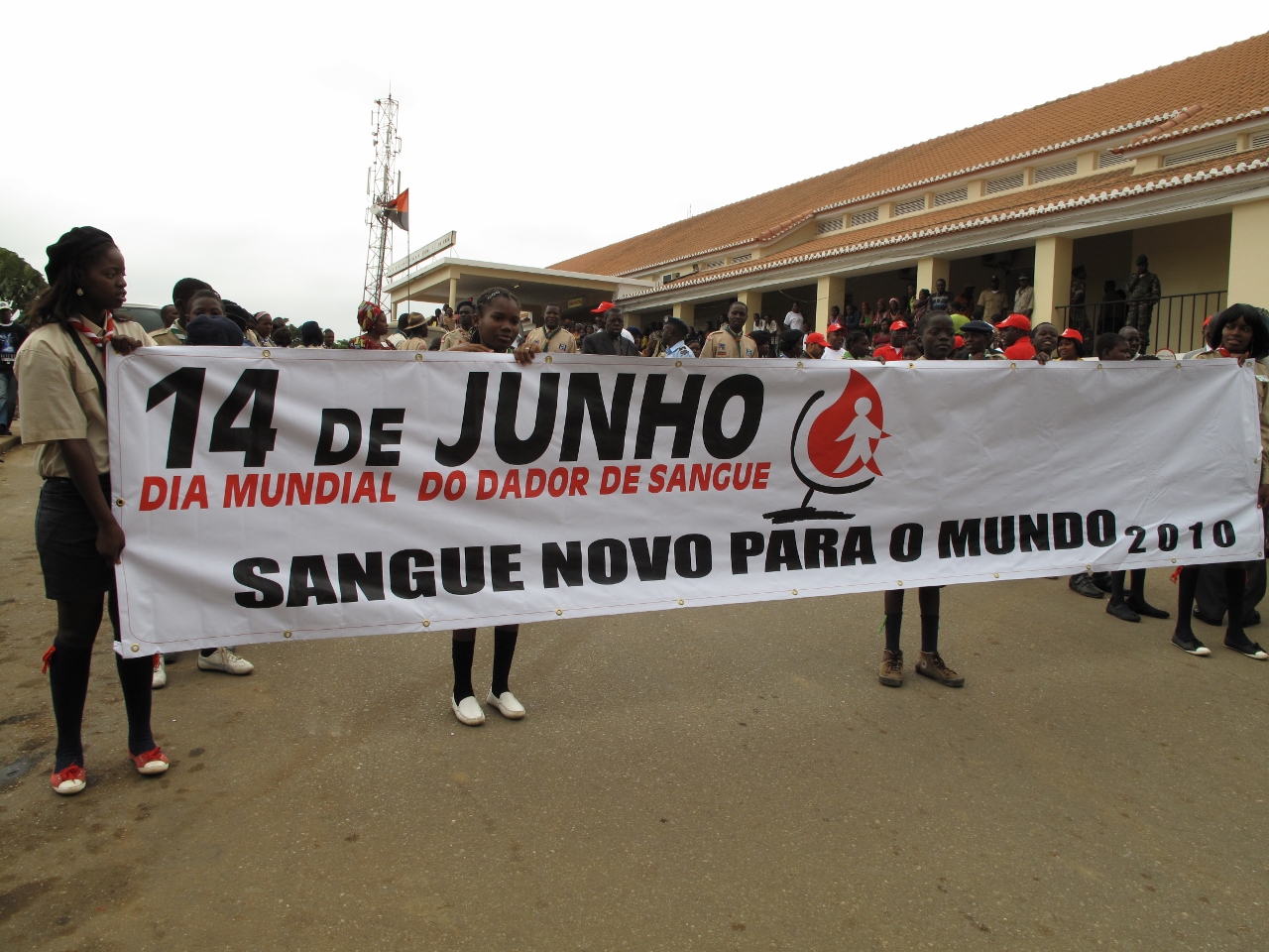 2010239ddc.jpg